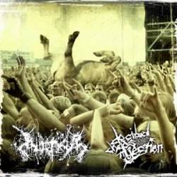 Inopexia : Decibel Chaos Injection - Inopexia